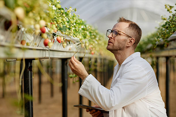 Senior Pomologist