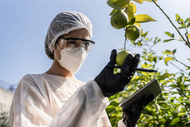 Fruit Research Scientist