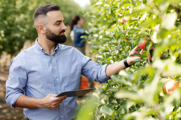 Fruit Orchard Manager
