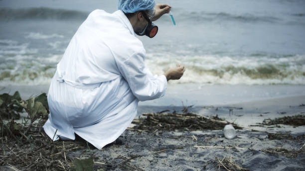 Senior Marine Biotechnologist/Research Lead