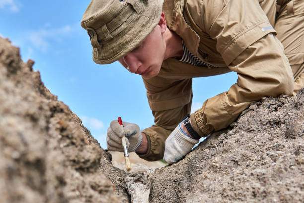 Archaeological Geochronologist (Specialized Role)