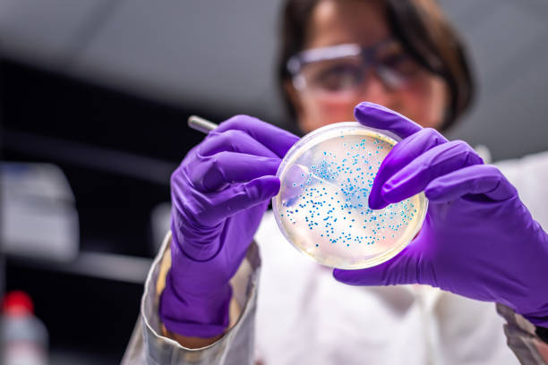 Senior Insectologist /Research Lead