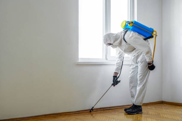Medical Entomologist (Specialized Role)