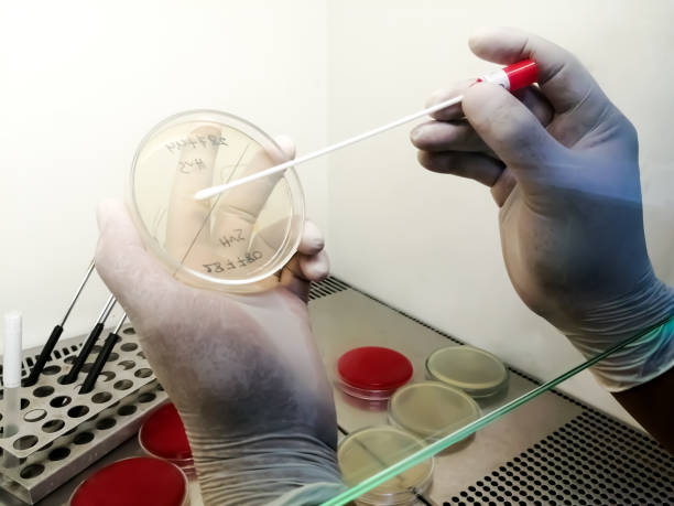 Clinical Bacteriologist (Specialized Role)
