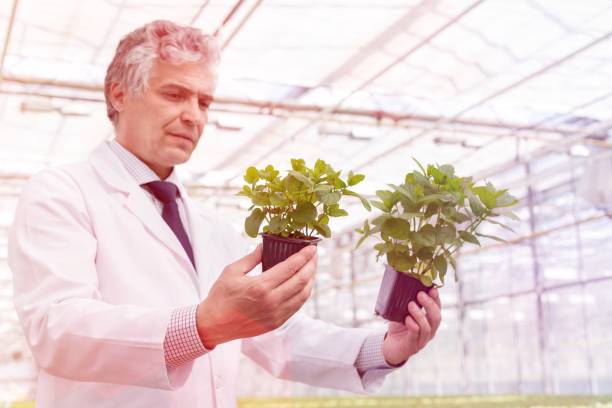 Senior Botanist
