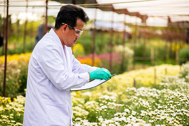 Botany Consultant