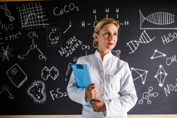 Program Director/Professor