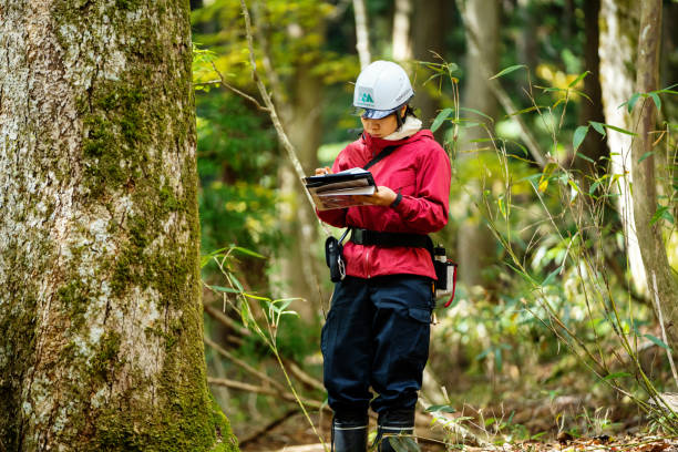 Junior Climate Scientist