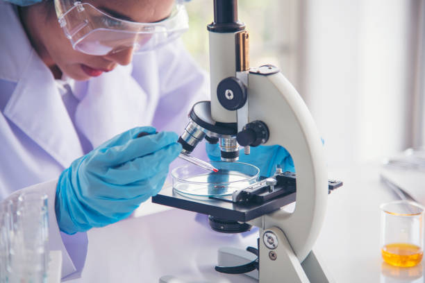 Junior Cancer Research Scientist