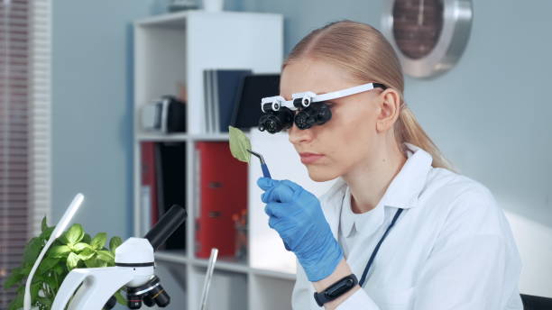 Junior Algologist