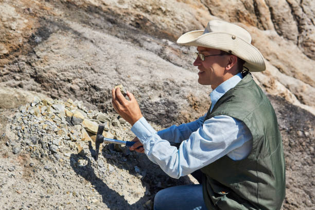 Economic Geologist (Specialized Role)