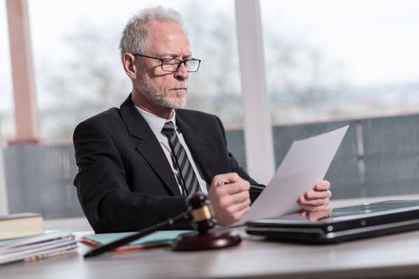 Senior Labour Lawyer