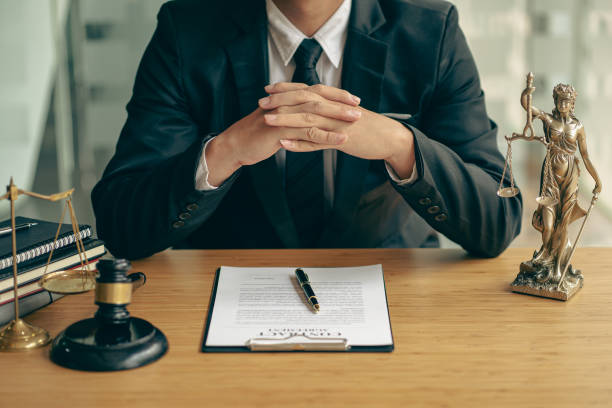Constitutional Lawyer