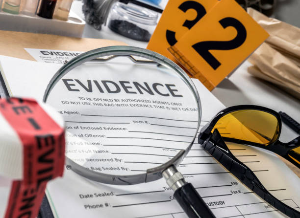 Private Investigator (Criminal Focus)