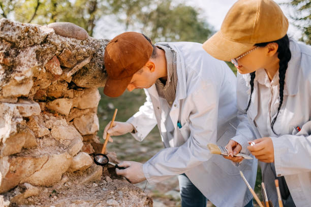 Project Director (Excavation/Heritage) (Mid-Senior Level)