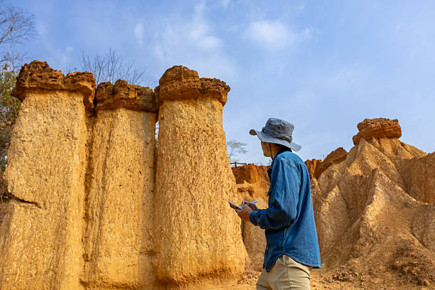 Digital Archaeologist (Niche Role)