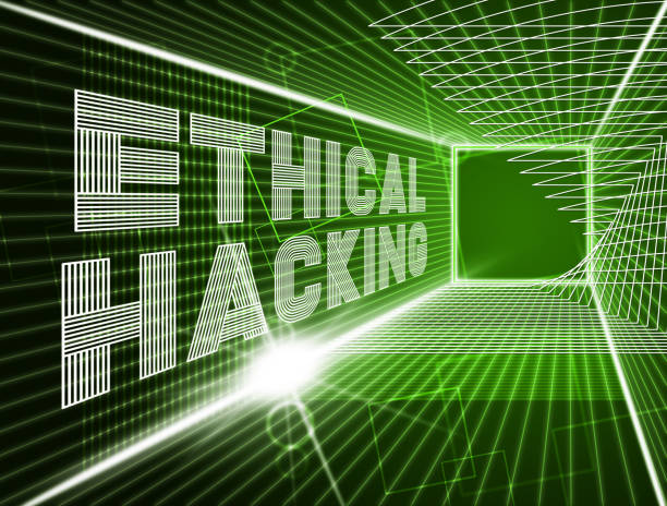 Ethical Hacker (Early-Mid Level)