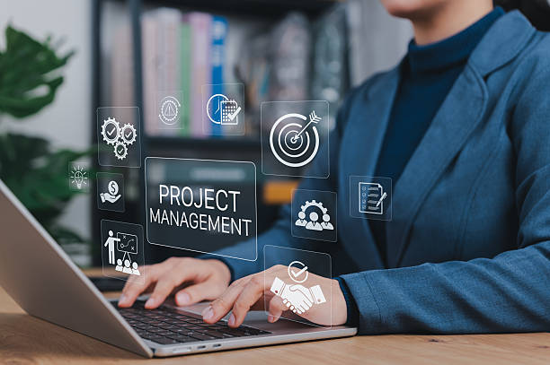 Program Manager (Senior Level)