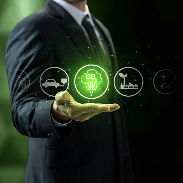 Sustainability Analyst