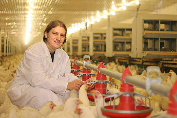 Poultry Farm Supervisor