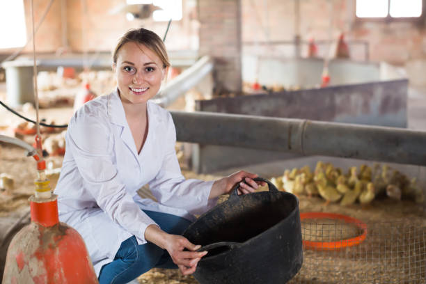 Poultry Nutritionist