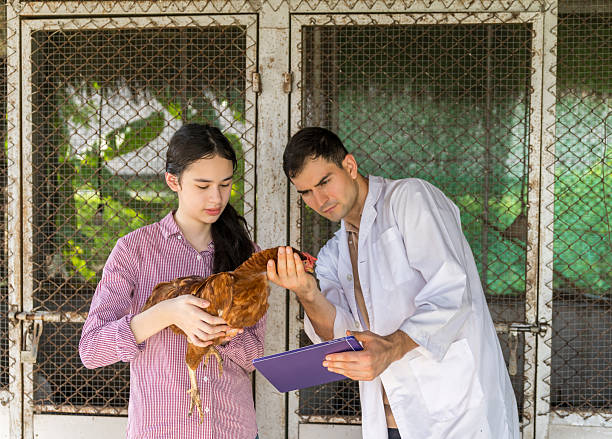 Poultry Health Consultant