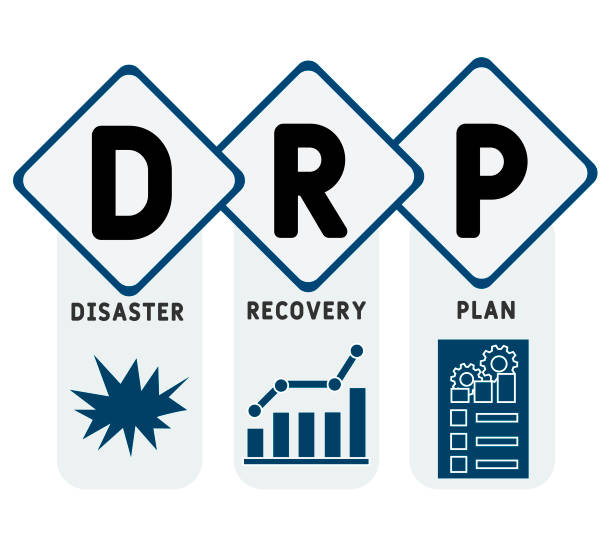 National Disaster Policy Advisor