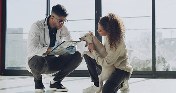 Veterinary Surgical Consultant