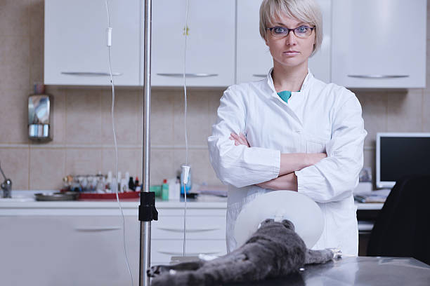 Veterinary Oncologist