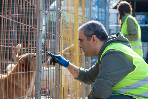 Senior Animal Welfare Officer