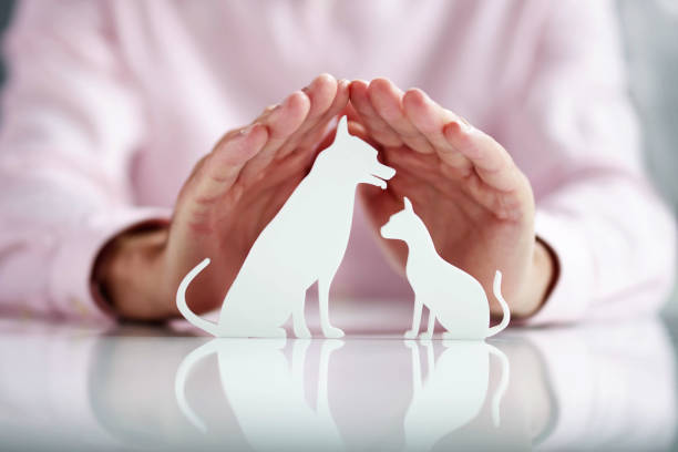 Animal Welfare Policy Advisor