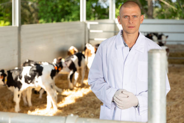 Director of Animal Welfare Organization