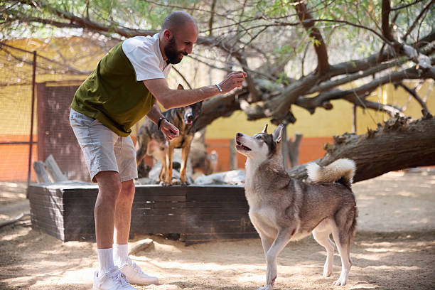 Senior Animal Trainer