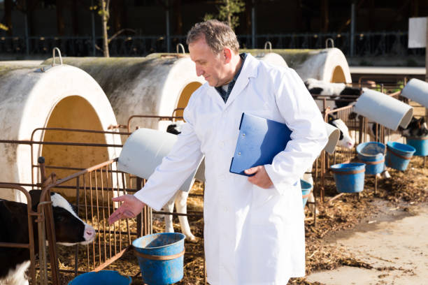 Veterinary Nutrition Research Leader