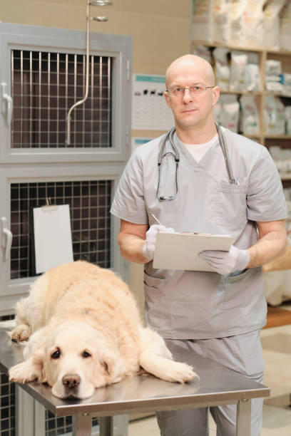 Senior Veterinary Practice Manager