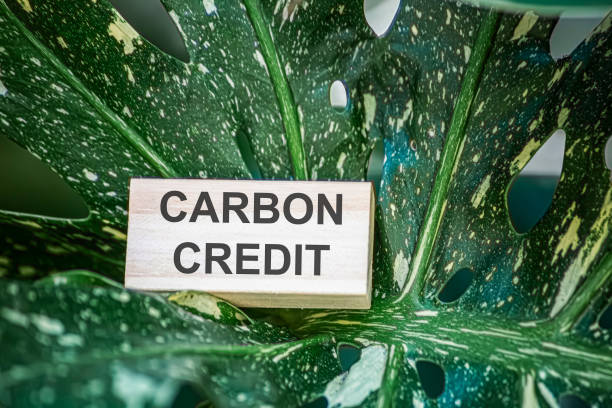 Senior Carbon Credit Trader