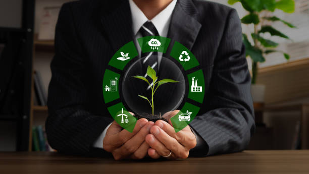 Carbon Market Portfolio Manager