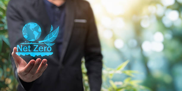 Director of Carbon Trading