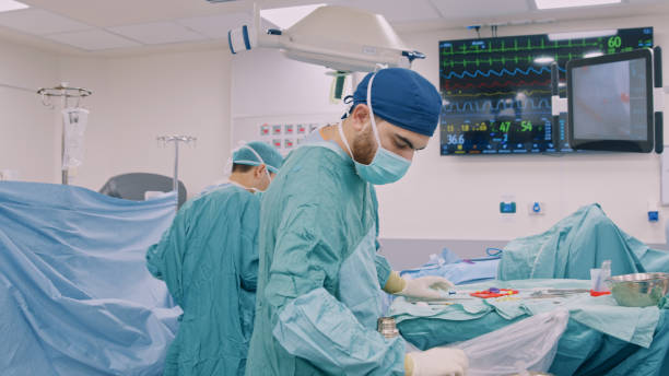 Senior Vascular Surgeon