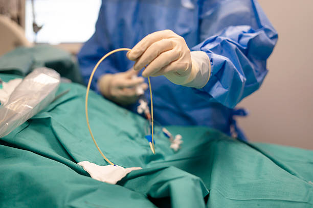 Endovascular Specialist