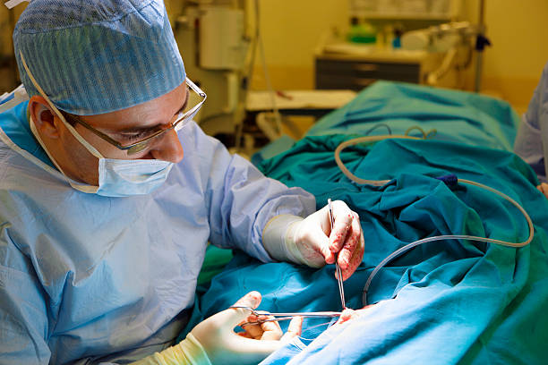 Neurovascular Surgeon