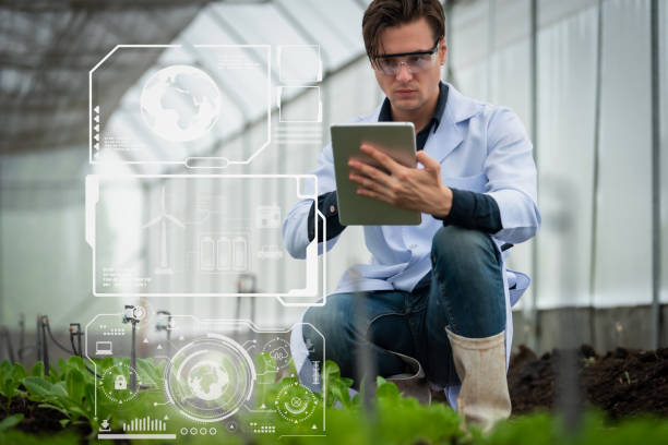 Junior AgriTech Developer