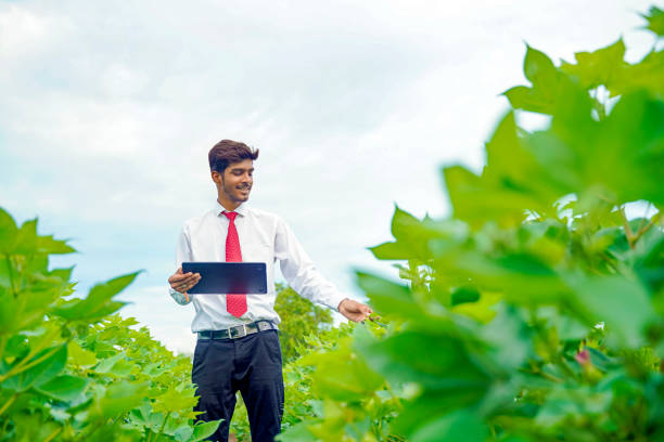 Chief Technology Officer (AgriTech Focus)