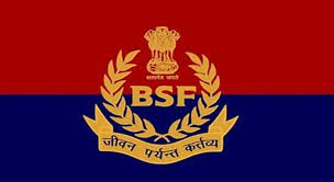 Deputy Inspector General (DIG)/Inspector General (IG)/Director General (DG)