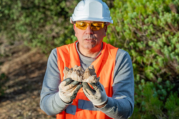 Chief Geologist (Top Tier)
