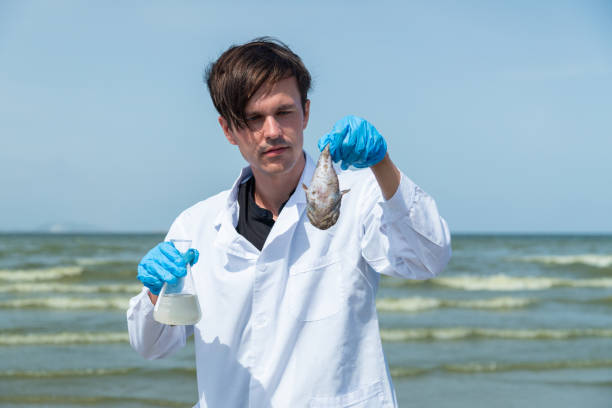 Marine Conservation Academician/Researcher