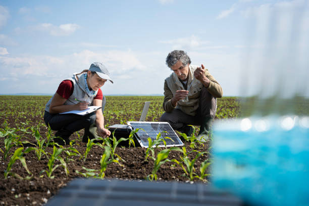 Senior Biodiversity Scientist