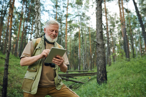 Senior Wildlife Ecologist