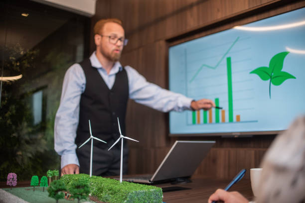 Sustainability Strategist