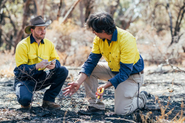 Forest Fire Management Specialist